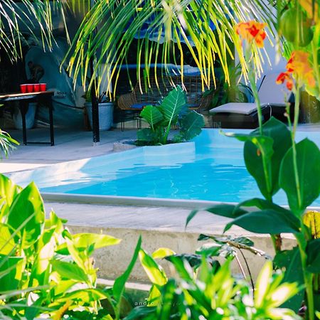 Ananas Guesthouse 몰볼 외부 사진