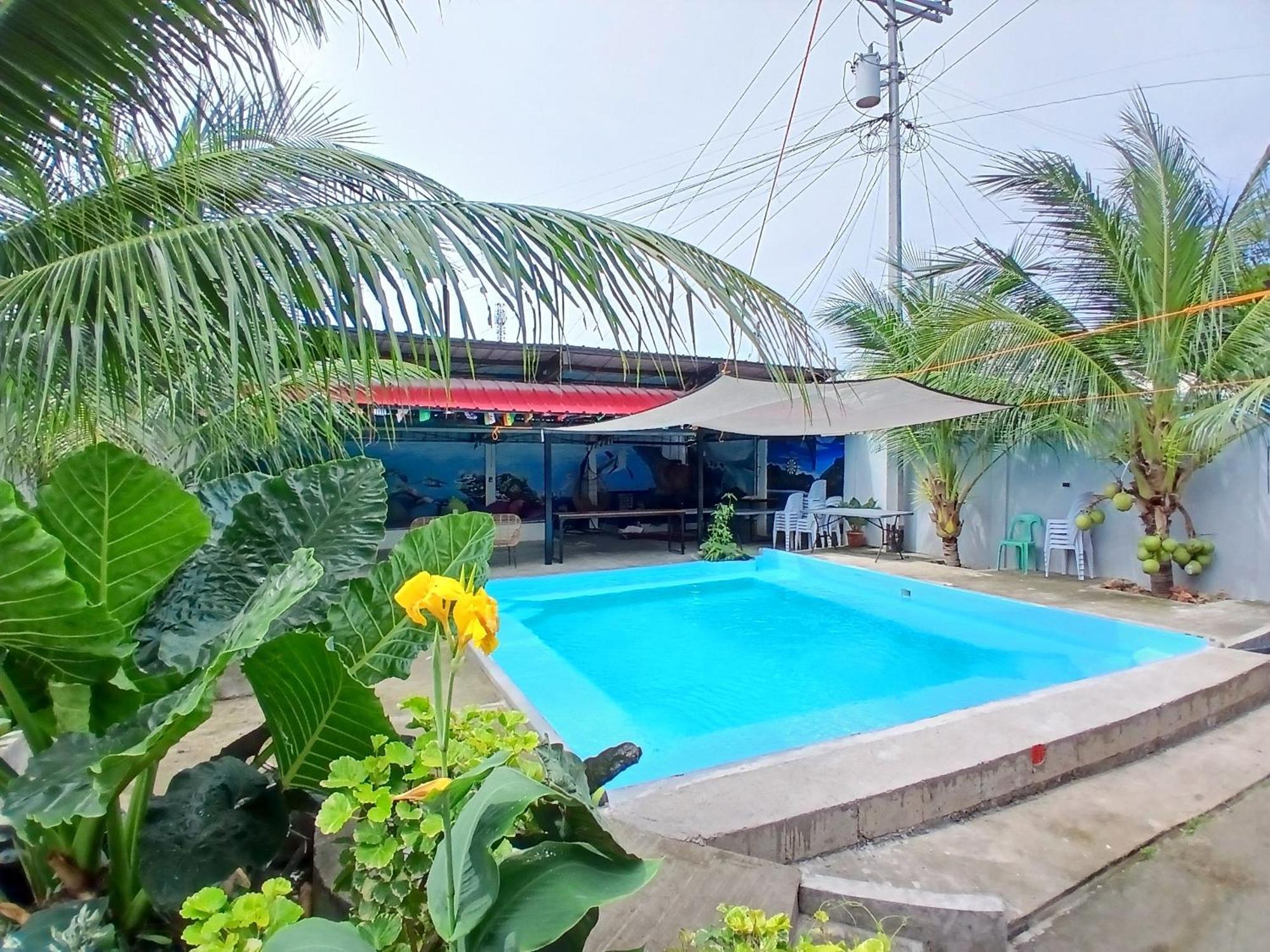 Ananas Guesthouse 몰볼 외부 사진
