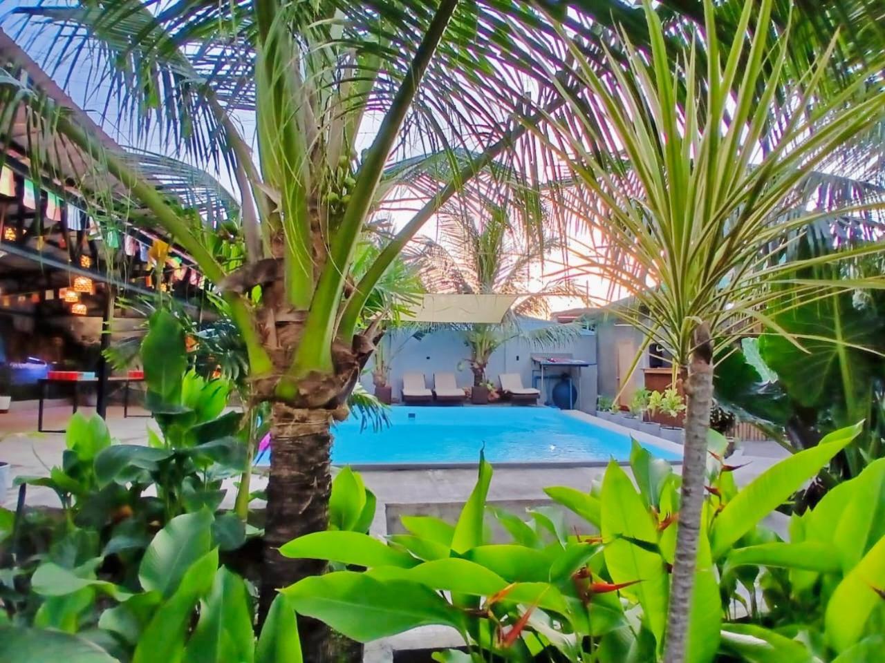 Ananas Guesthouse 몰볼 외부 사진