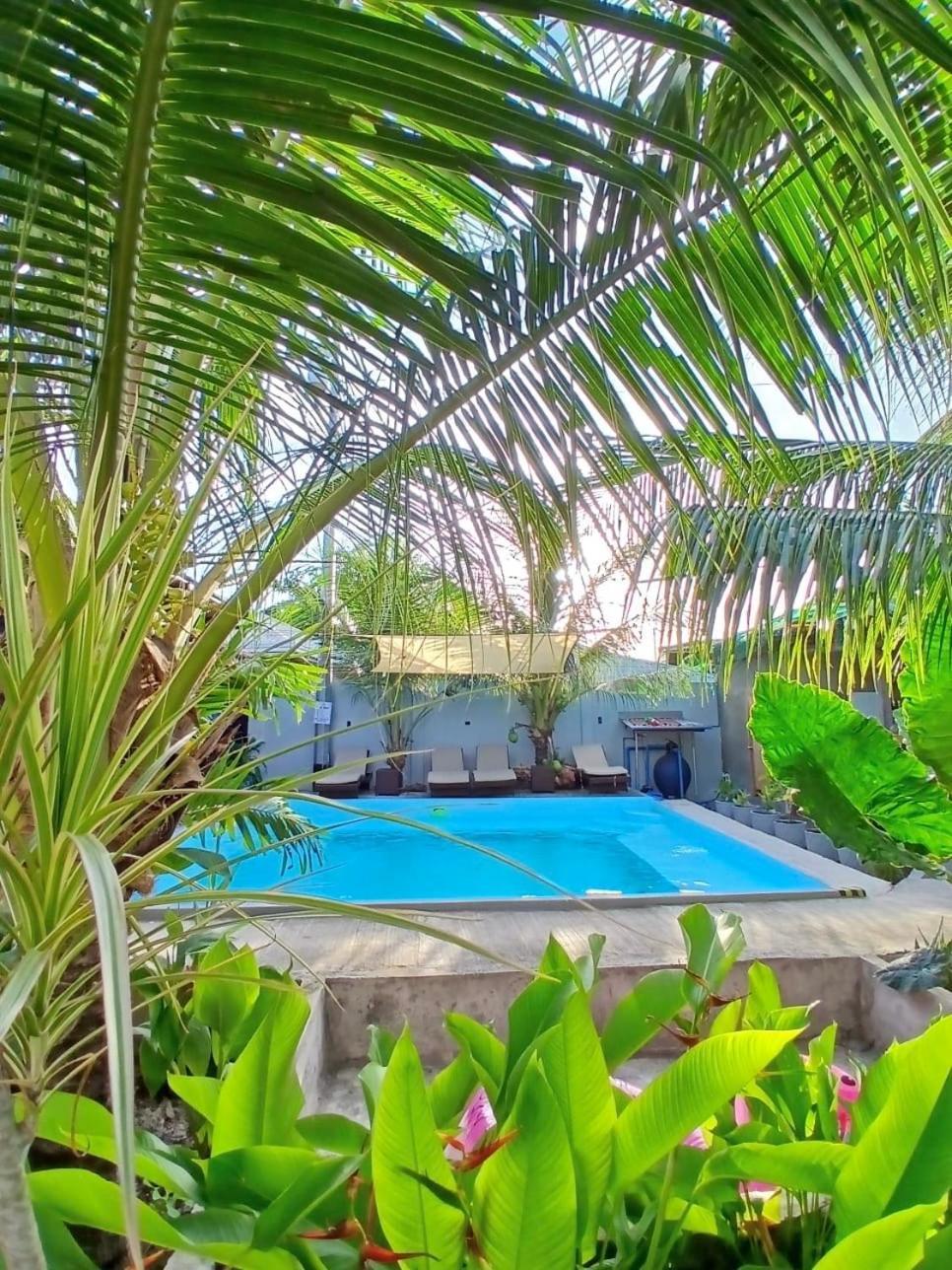 Ananas Guesthouse 몰볼 외부 사진