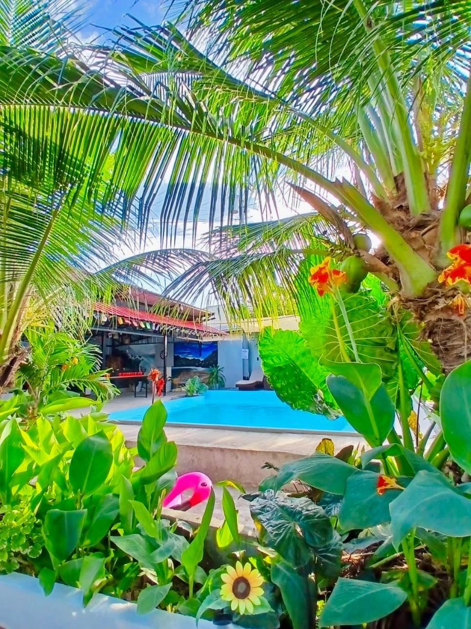 Ananas Guesthouse 몰볼 외부 사진