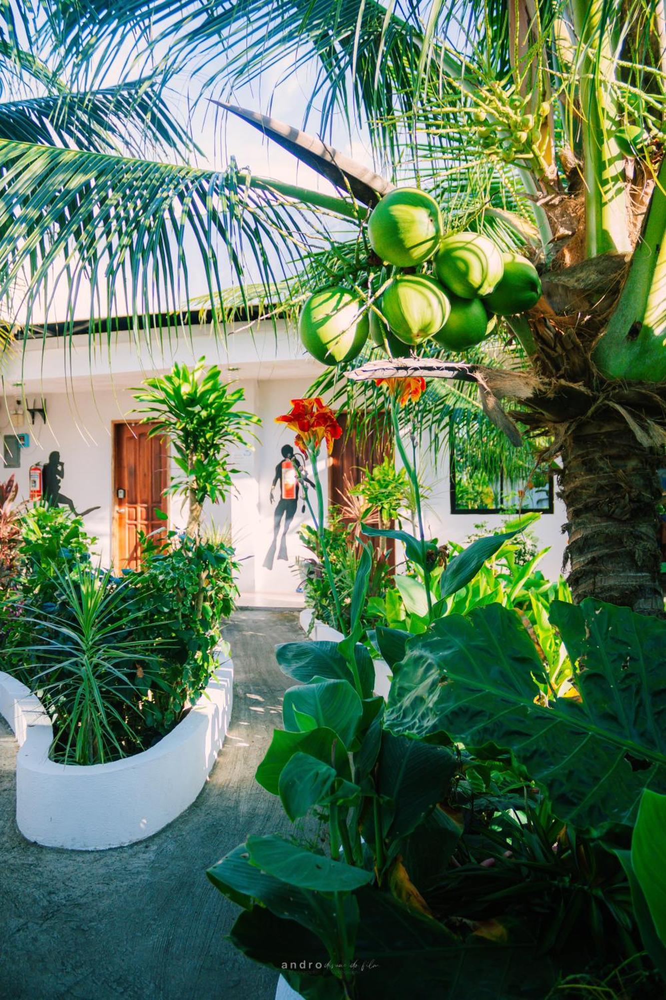 Ananas Guesthouse 몰볼 외부 사진